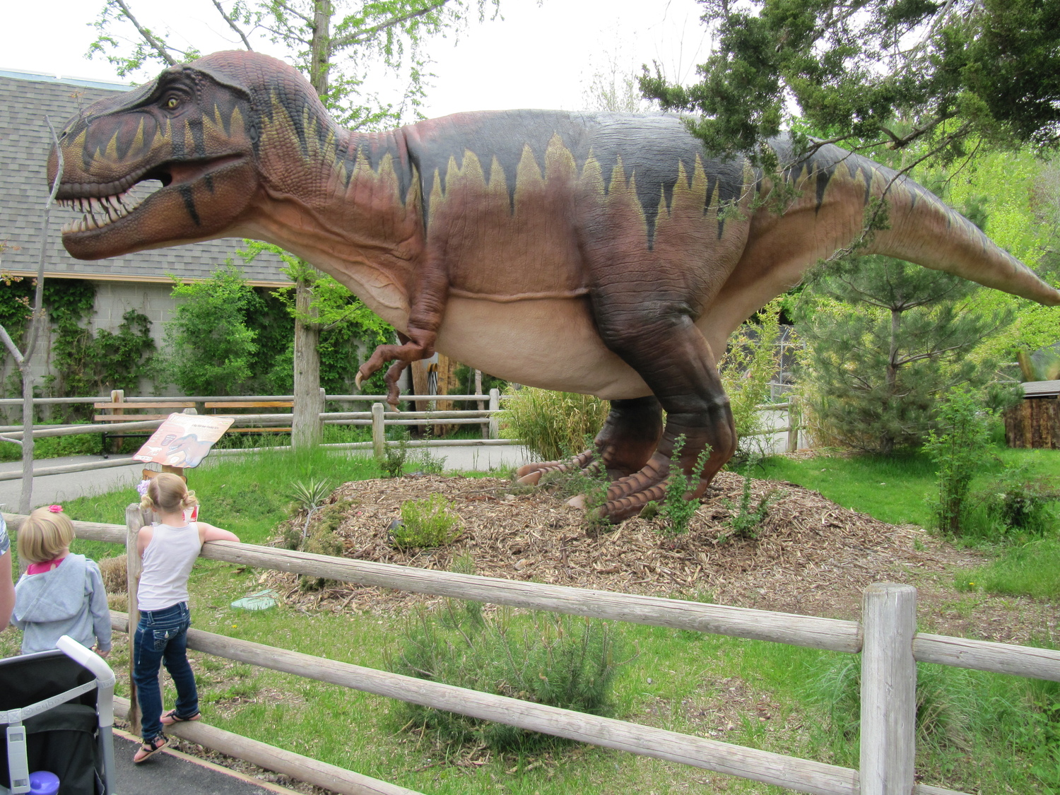 hoo zoo and dinosaur world